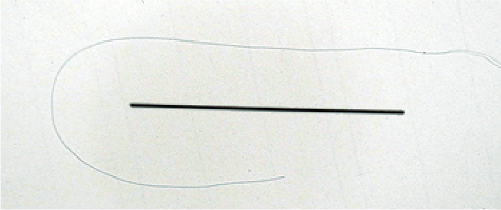 バレたくない、に応えます