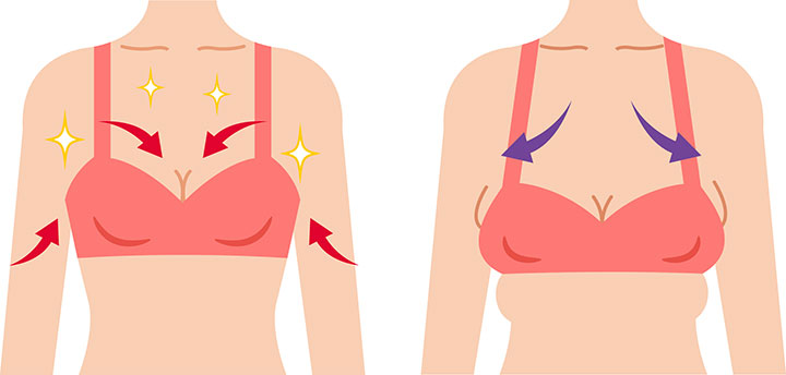 バストの形の種類と特徴