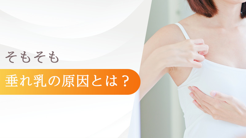 そもそも垂れ乳の原因とは？